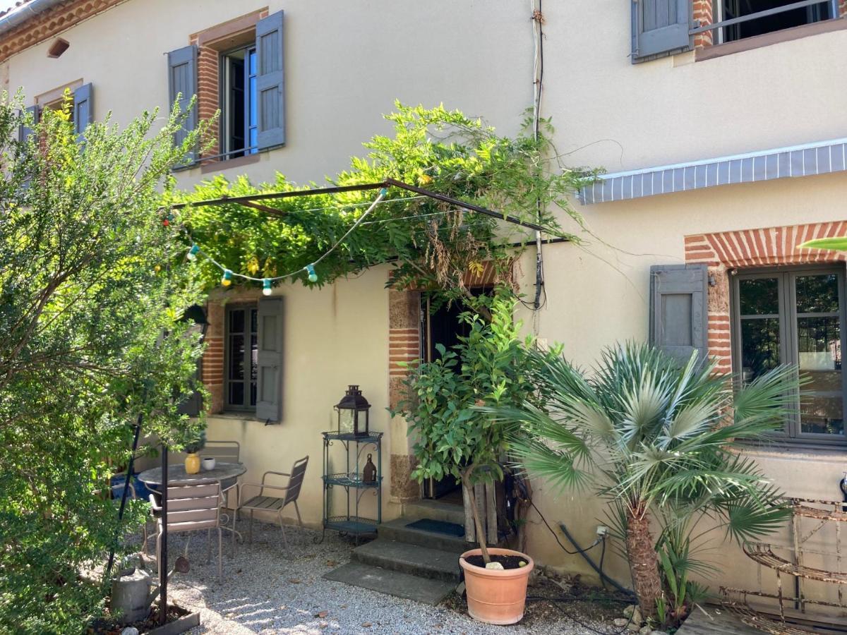 16 Bis-Gite-Hotel-Studio Marssac-sur-Tarn Dış mekan fotoğraf