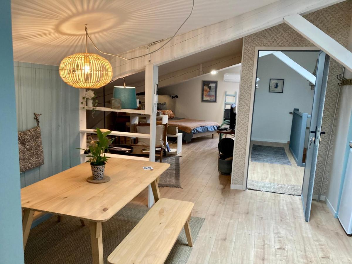 16 Bis-Gite-Hotel-Studio Marssac-sur-Tarn Dış mekan fotoğraf