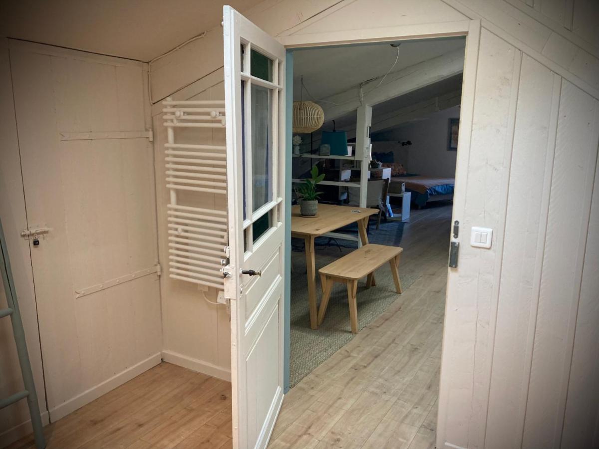 16 Bis-Gite-Hotel-Studio Marssac-sur-Tarn Dış mekan fotoğraf