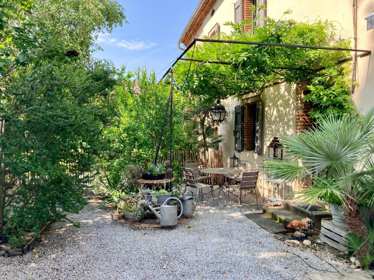 16 Bis-Gite-Hotel-Studio Marssac-sur-Tarn Dış mekan fotoğraf
